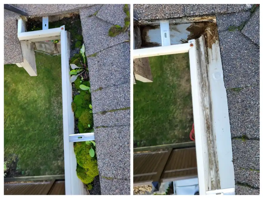 Gutter Cleaning