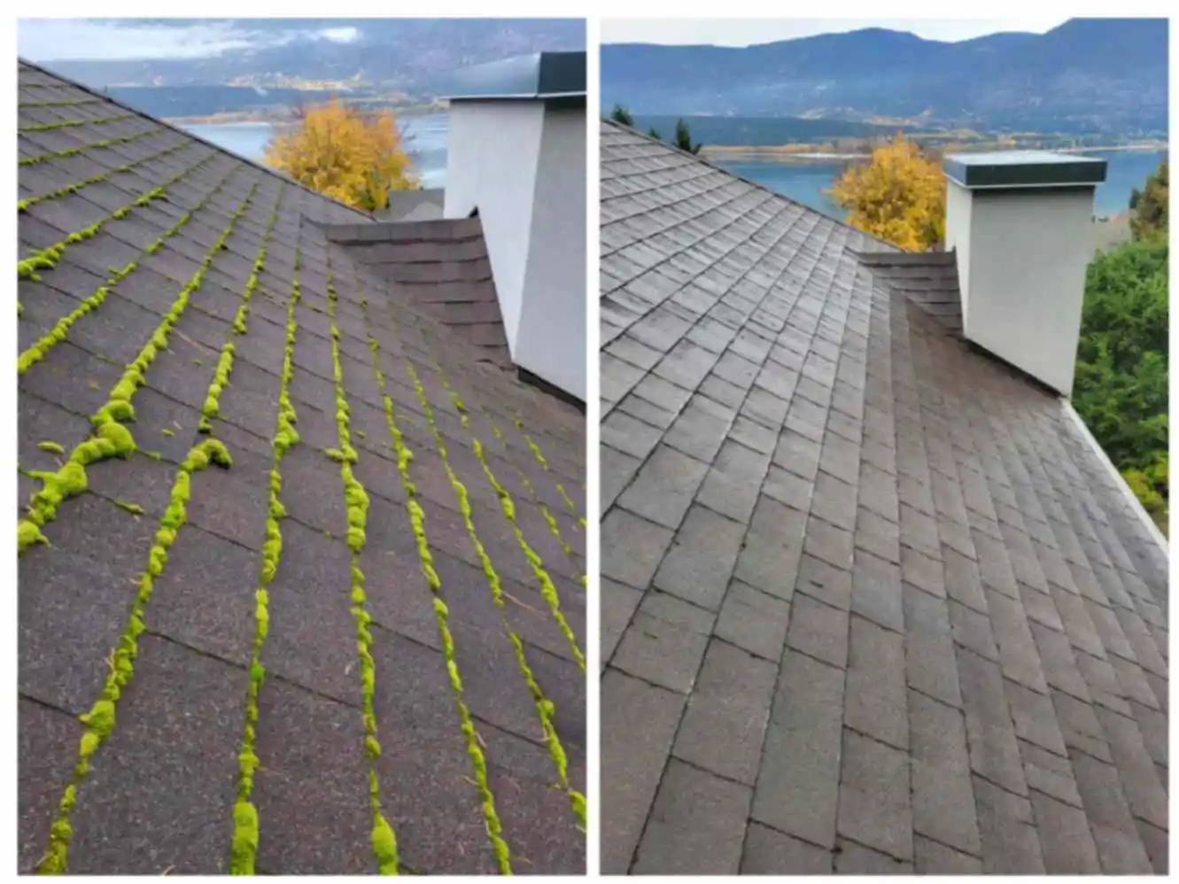 Mt. Ida Roof Cleaning