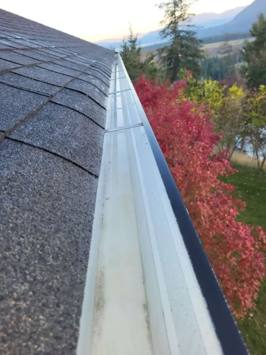 Mt. Ida Gutter Cleaning